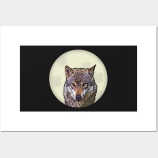 Wolf On Full Moon Posters and Art